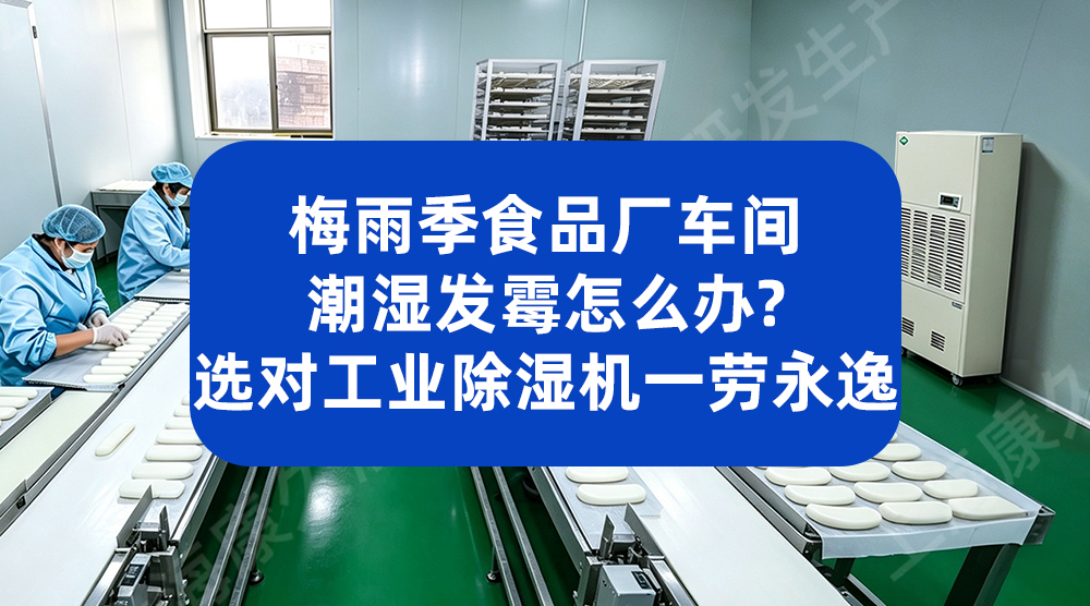 梅雨季食品车间潮湿发霉？选对工业除湿机一劳永逸