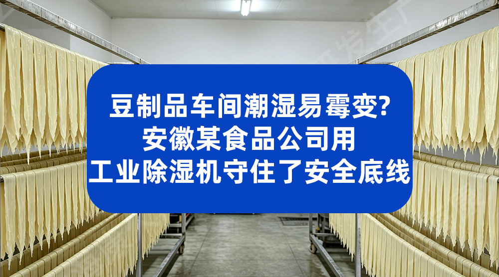 豆制品车间潮湿易霉变？安徽某食品公司用工业除湿机守住了安全底线