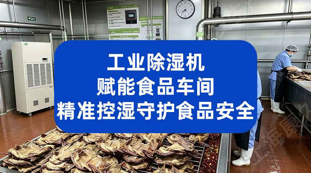 工业除湿机赋能食品车间 精准控湿守护食品安全