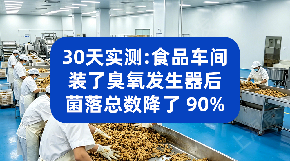 臭氧发生器助力食品企业 筑牢生产环节食品安全防线