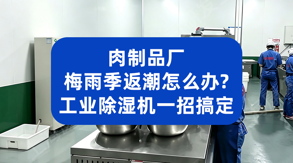 臭氧发生器助力食品企业 筑牢生产环节食品安全防线