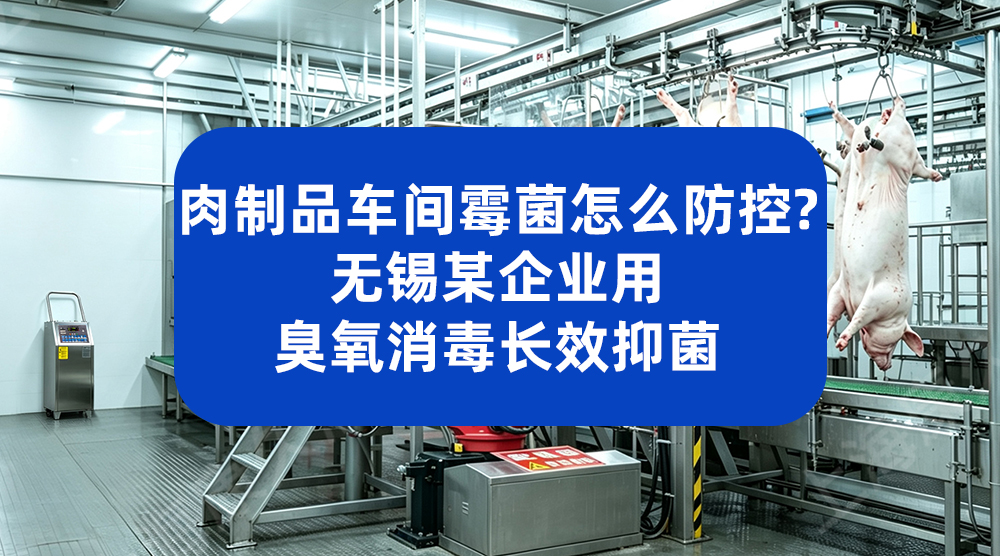 臭氧发生器助力食品企业 筑牢生产环节食品安全防线
