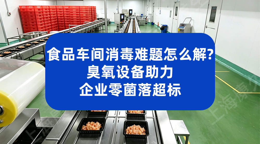 食品车间消毒难题怎么解？康久臭氧设备助力企业零菌落超标