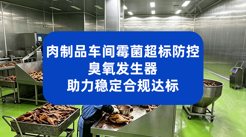 肉制品车间霉菌超标防控 臭氧发生器助力稳定合规达标