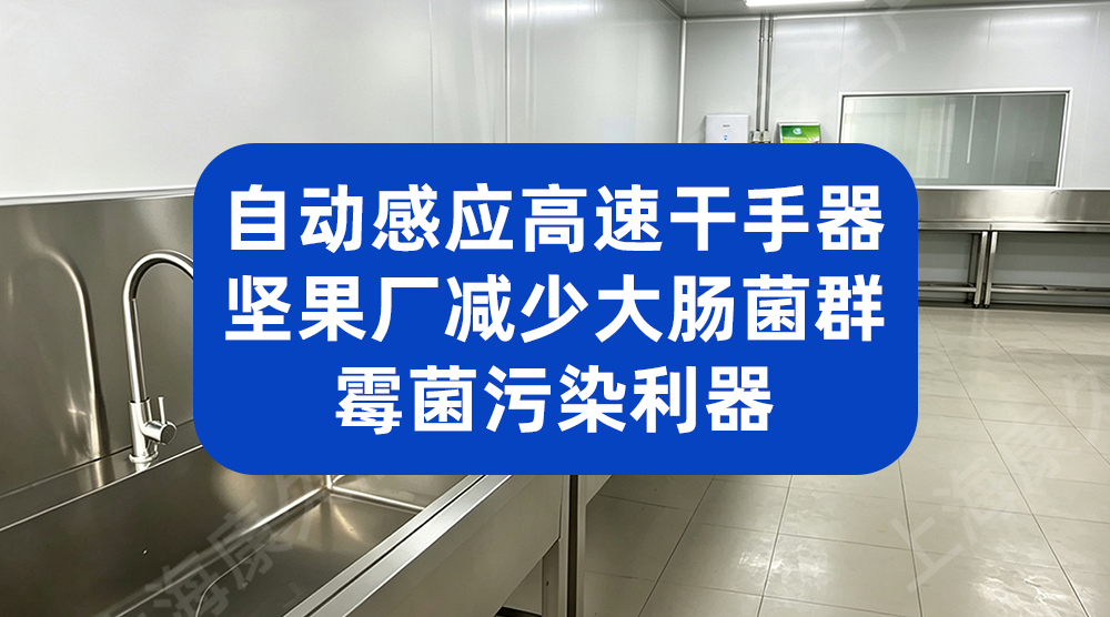 坚果炒货厂自动感应高速干手器 减少手部潮湿大肠菌群污染