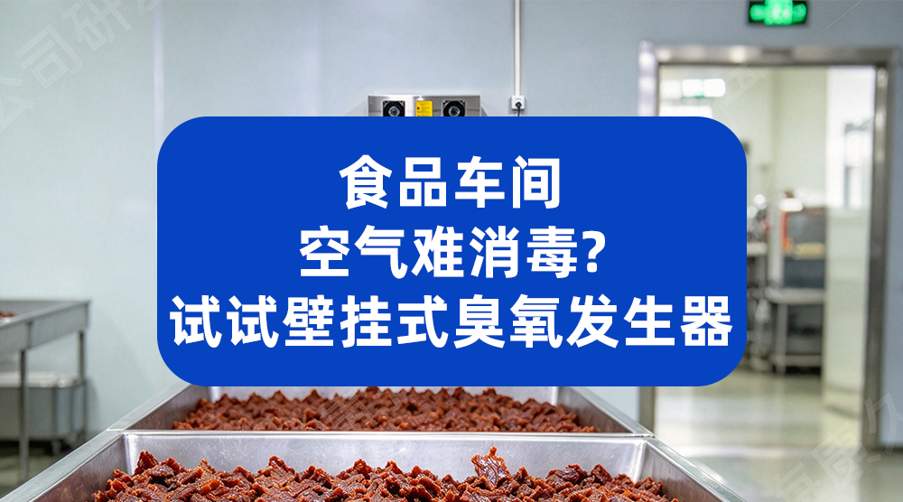 食品车间空气难消毒？试试壁挂式臭氧发生器