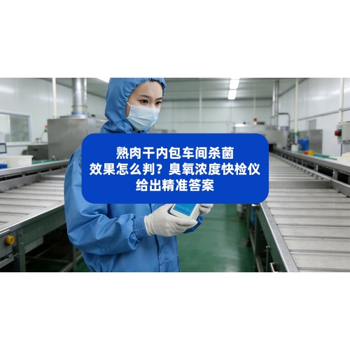 熟肉干内包车间杀菌效果怎么判？臭氧浓度快检仪给出精准答案