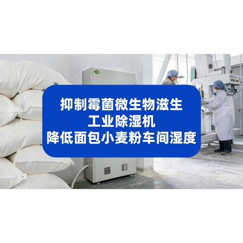 工业除湿机降低面包小麦粉内包车间湿度，抑制霉菌微生物滋生