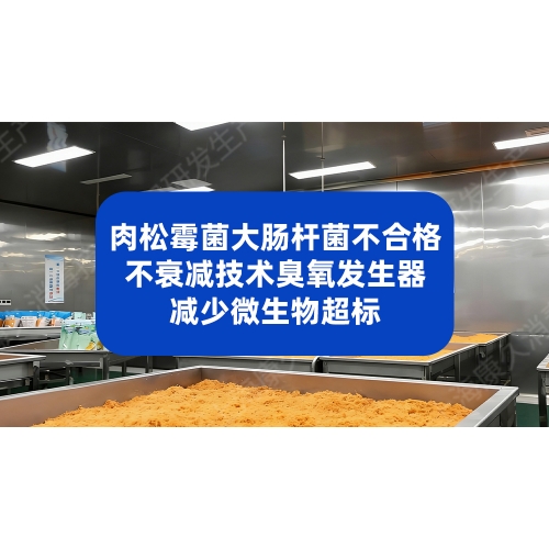不衰减技术臭氧发生器提升肉松品质？减少生产过程细菌微生物超标