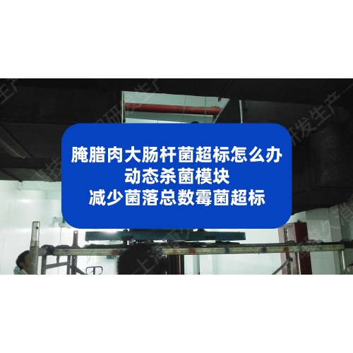 腌腊肉大肠杆菌超标怎么办？送风管道动态杀菌模块减少菌落总数霉菌超标