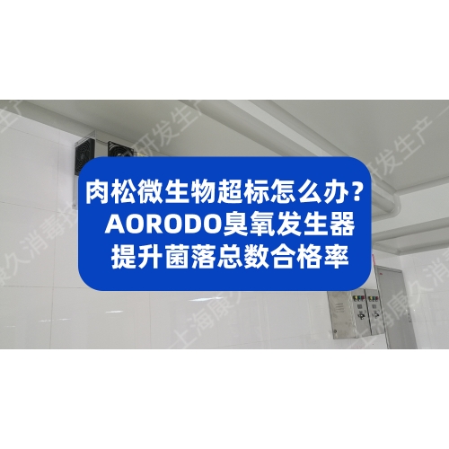 肉松生产微生物超标怎么办？上海康久臭氧发生器提升菌落总数合格率