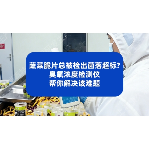 蔬菜脆片总被检出菌落超标？臭氧浓度检测仪帮你杜绝