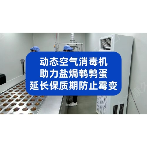 动态空气消毒机助力盐焗鹌鹑蛋延长保质期、防止霉变