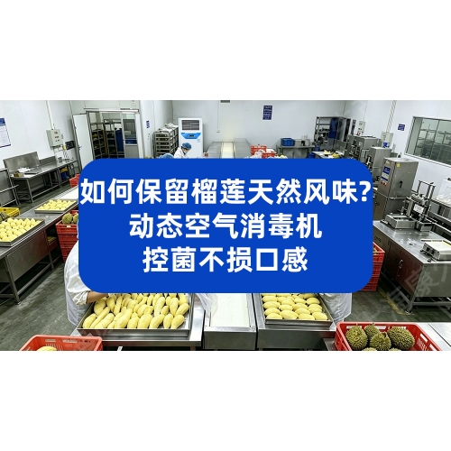 榴莲加工如何保留天然风味？动态空气消毒机控菌不损口感