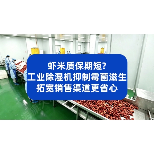 虾米质保期短？工业除湿机抑制霉菌滋生，拓宽销售渠道更省心