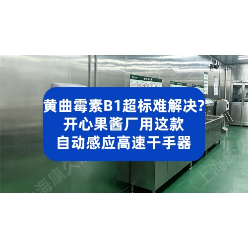 黄曲霉素B1超标难解决？开心果酱厂就用这款自动感应高速干手器