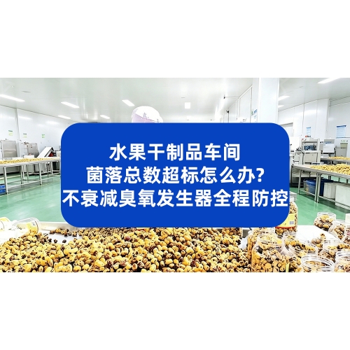 水果干菌落总数超标怎么办？不衰减臭氧发生器全程防控