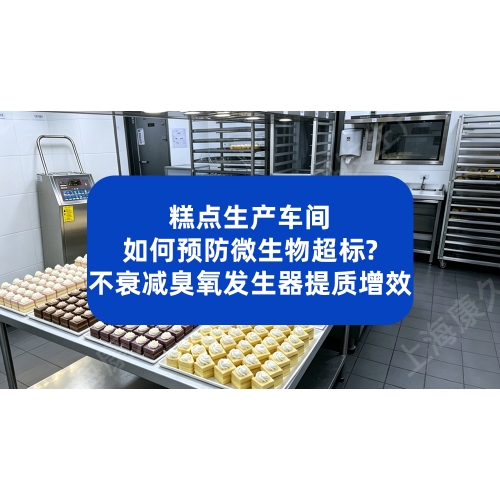 糕点生产如何预防微生物超标？不衰减臭氧发生器提质增效