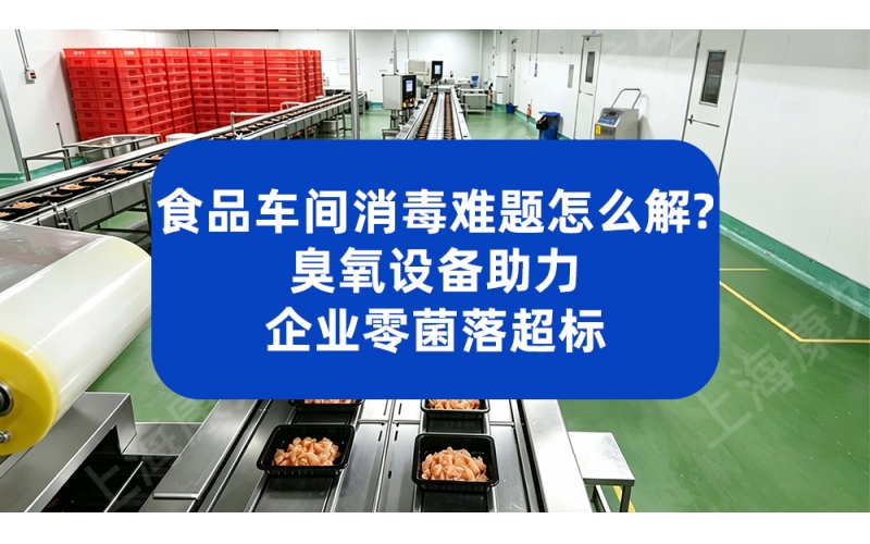 食品车间消毒难题怎么解？康久臭氧设备助力企业零菌落超标