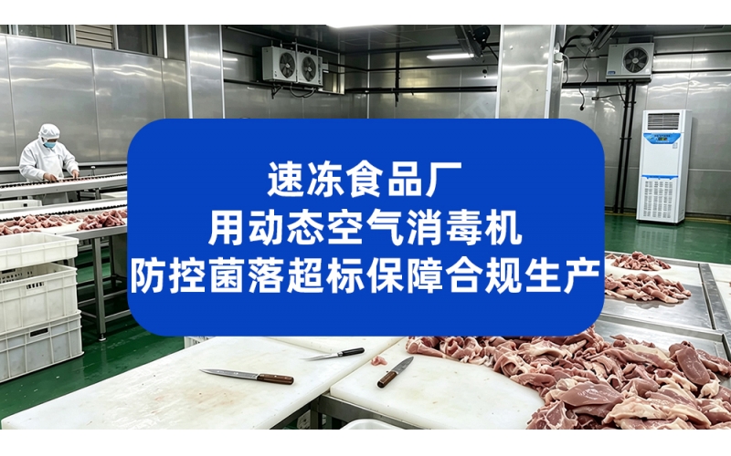 速冻食品厂用动态空气消毒机 防控菌落超标保障合规生产