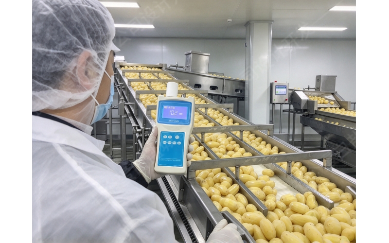薯泥制品菌落总数超标？臭氧浓度检测仪精准判断消杀效果